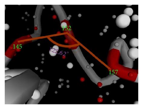 3d Structures Of The Homeodomain In Different Clades Of Woxs All The Download Scientific