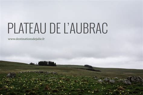 Plateau De L Aubrac Les Destinations De Julie Aubrac Itineraire