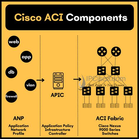 Cisco Aci Ipcisco