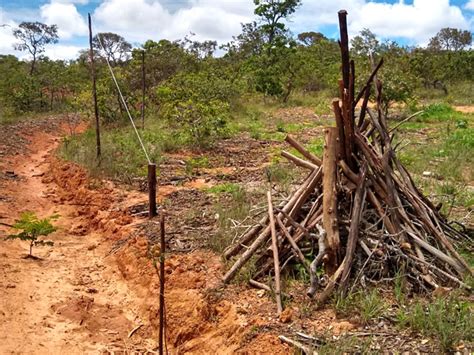 Abrigos De Fauna Somai Alimentos Ftca