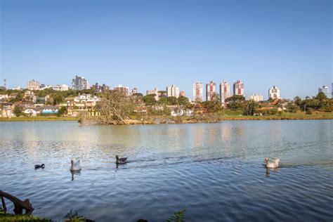 Parque Barigui tudo o que você precisa fazer nesse endereço CGL