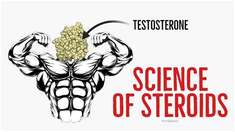 Ex How Do Anabolic Steroids Testosterone Make Our Muscles Grow