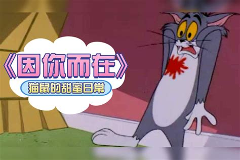 猫和老鼠：猫和老鼠版《因你而在》，且看汤姆杰瑞两情相悦的甜蜜