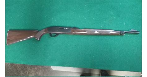 Remington Nylon 66 For Sale