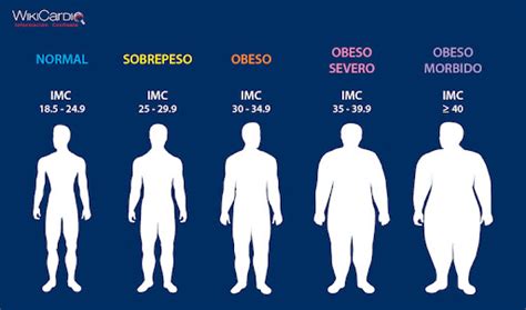 Diferencias Entre Sobrepeso Y Obesidad Blog Tu Farmacia Virtual