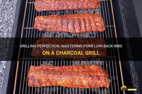 Grilling Perfection Mastering Pork Loin Back Ribs On A Charcoal Grill