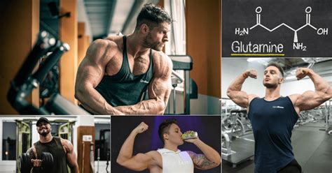 Glutamine is essential for athletes - GymBeam Blog
