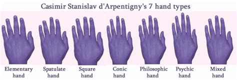 Extraverts Have Wider Palms Introverts Have Longer Fingers