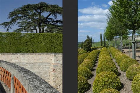 JARDINS DU CHÂTEAU DAMBOISE JEAN PIERRE DELAGARDE PHOTOGRAPHE À PARIS