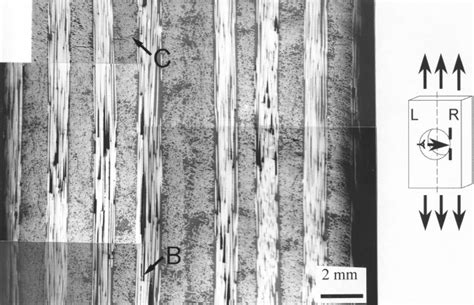 Matrix Cracking And Fiber Breakage Of Laminate C At Of Its Failure