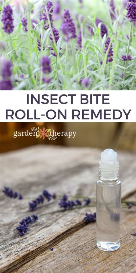 Essential Oils Bug Bites Essential Oils For Mosquitoes Essential Oil