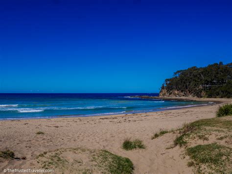 The 16 Best NSW South Coast Beaches - The Trusted Traveller