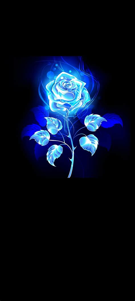 Blue Flowers Wallpapers