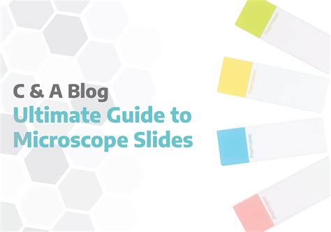 Ultimate Guide To Microscope Slides Cna Scientific