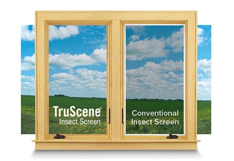 Andersen Truscene A Window Screen That Is True To The View