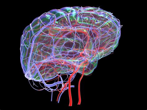 Systemic Vascular Health Associated With Widespread Brain Changes - Neurology Advisor