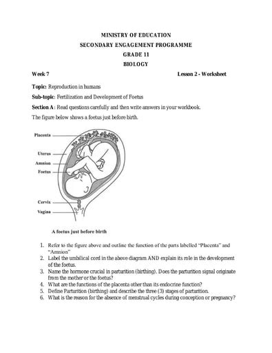 7th Grade Biological Classification Worksheets Worksheets Library