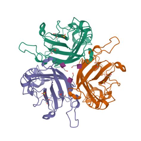 Rcsb Pdb 6qu6 Adenovirus Serotype 26 Ad26 In Complex With Sialic