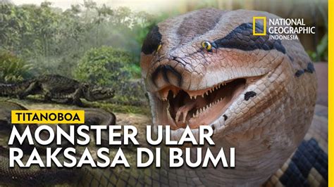 Titanoboa Monster Ular Terbesar Dan Paling Mengerikan Di Bumi YouTube