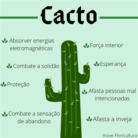 Como Cultivar Cactos Artofit