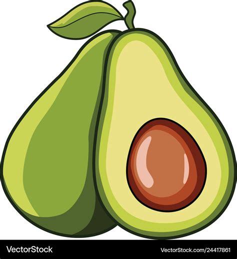 Avocado Royalty Free Vector Image - VectorStock