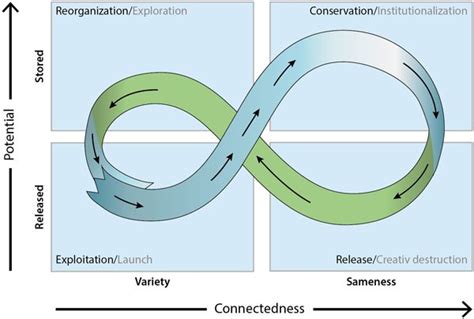 Fig 1 The Adaptive Cycle Source Adapted From Holling 1986 Adaptations Organizational