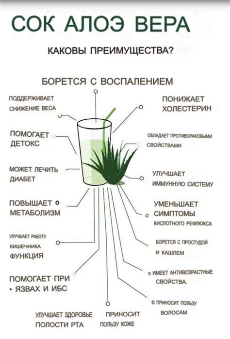 Алое Herbalife | Гербалайф 24, Гербалайф, Витамины для женщин