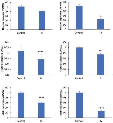 The Prm1 And Prm2 Gene Expression Of Vacuolated Spermatozoa A