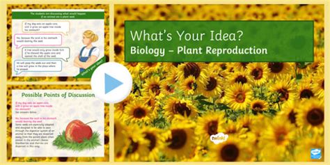 Ks3 Plant Reproduction Whats Your Idea Powerpoint