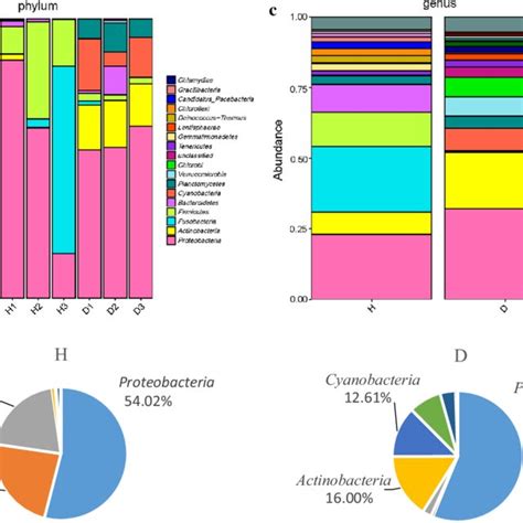 A Relative Abundance Of Each Sample At The Taxonomic Level Of Phylum B