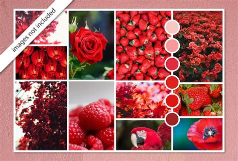 Premium Vector Photo Collage Moodboard Template In Red Color