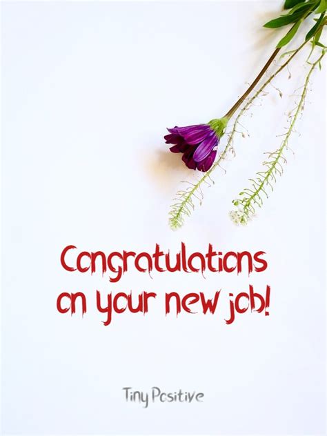 165 What To Write Best Wishes For New Job Simple Congratulations