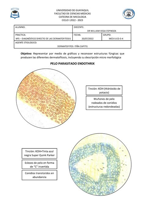 Dermatofitosis FACULTAD DE CIENCIAS MEDICAS CATEDRA DE MICOLOGIA