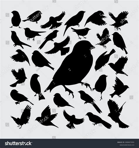 Bird Silhouette Set Bird Silhouettes Stock Vector Royalty Free