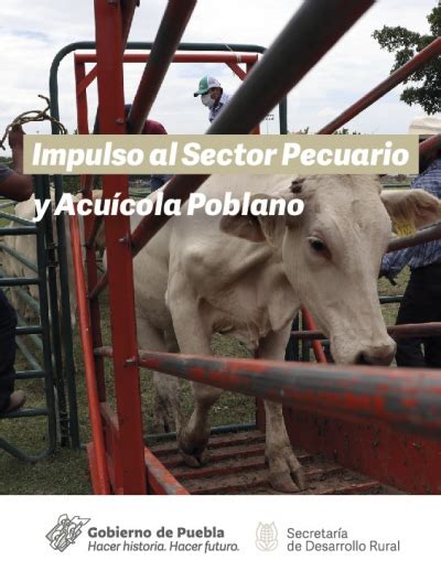 Convocatoria Del Programa Recuperaci N Del Campo Poblano Componente Iv