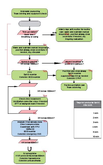 Nrp Neonatal Resuscitation Algorithm