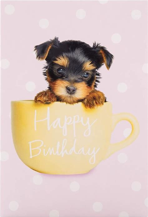 General Birthday Card From Hallmark Cute Photographic Design Amazon