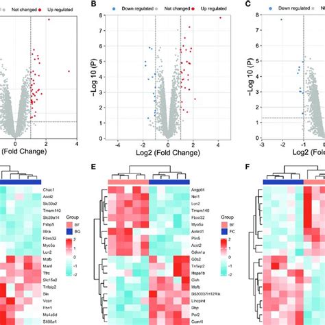 Identification Of Differentially Expressed Genes Degs Among Different Download Scientific