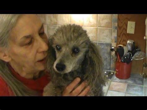 All Is Well - Now | All is well, Homemade recipes, Soul food