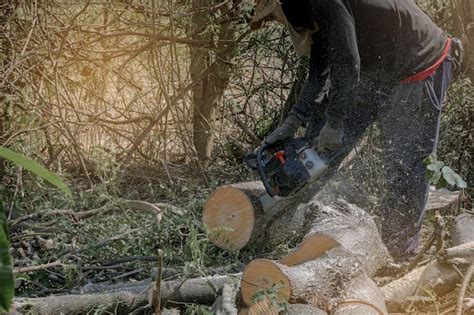 Premium Photo Worker Using Chainsaw For Cutting Down The Tree Deforestation Forest Cutting Concept