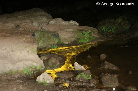 Kitum Cave - Mount Elgon, Kenya