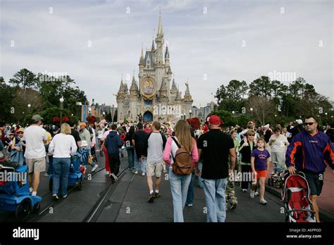 Cuento Hermanastras De Cenicienta Fotograf As E Im Genes De Alta