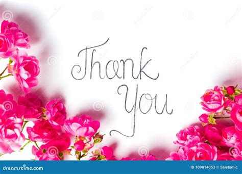 Thank You Note with Pink Roses on White Stock Image - Image of flowers, flower: 109814053