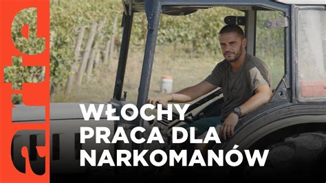 W Ochy Praca Zamiast Narkotyk W Arte Tv Dokumenty Youtube