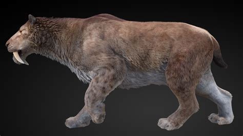 Smilodon paleontological reconstruction by Sergei Ostankov on ...