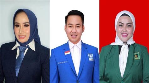 Cek Daftar Peraih Suara Tertinggi Dprd Kabupaten Melawi Berdasarkan