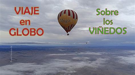 Paseo en globo sobre los viñedos de la Rioja y visita a las Bodegas