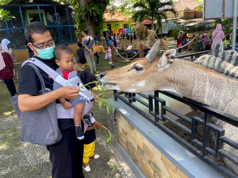 Cuma Bayar Rp Ribu Madiun Umbul Square Tawarkan Wisata Ala Taman