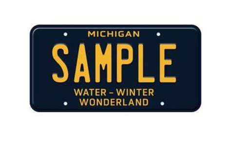 What Color Is The License Plate Sticker For 2024 Michigan Nanon Chrissy