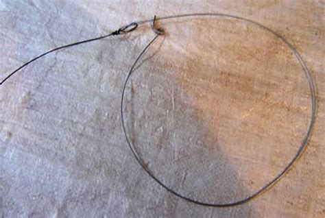 Trapping Supplies Review Beaver Snares Under Ice